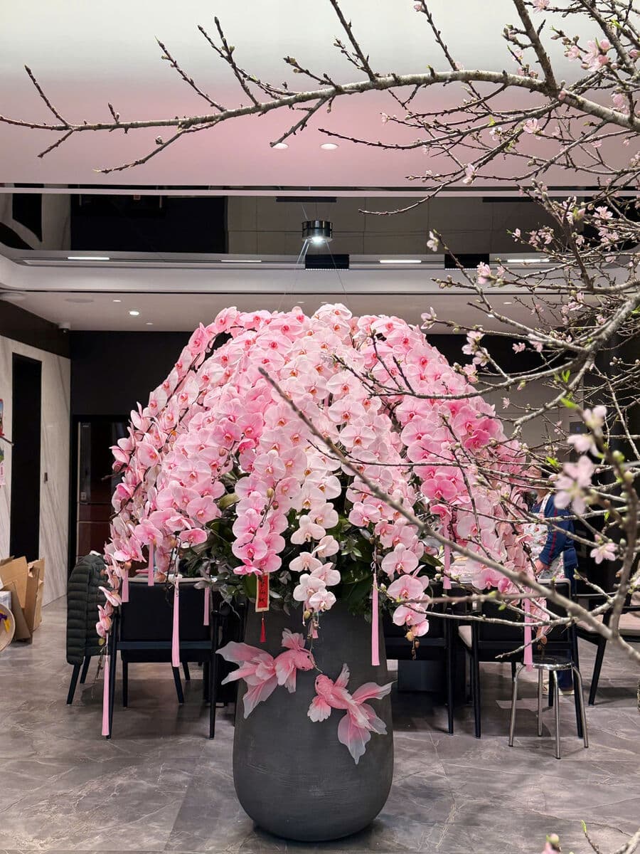 Orchid arrangement with cherry blossoms