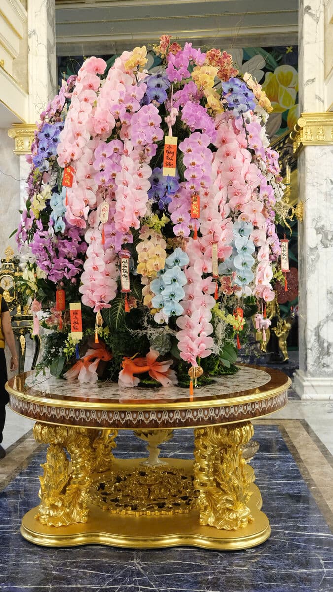 Colorful orchids on golden table