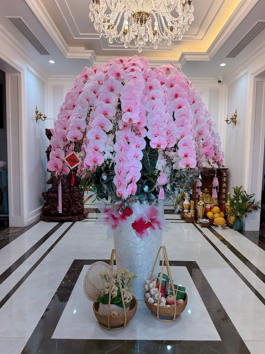 Pink orchid in luxury hall with chandelier
