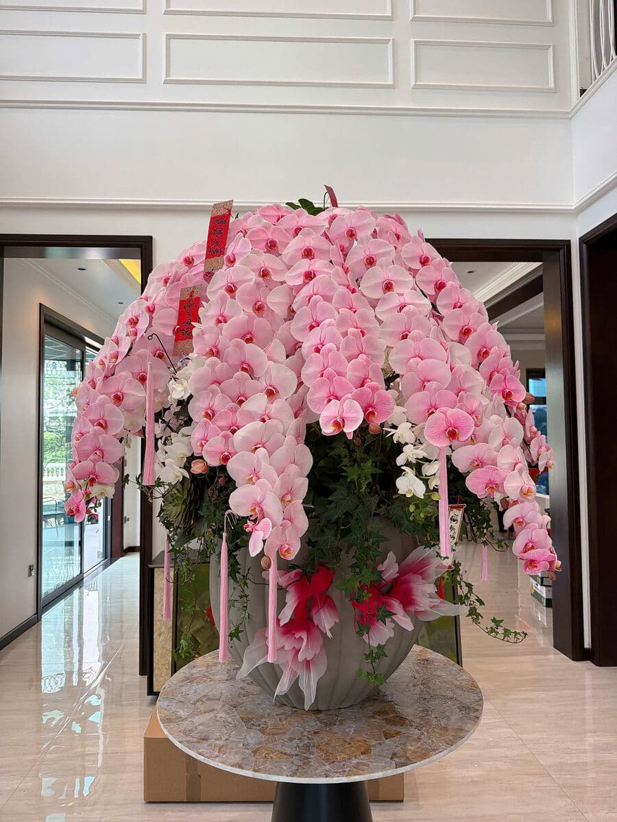 Pink orchid dome in modern lobby
