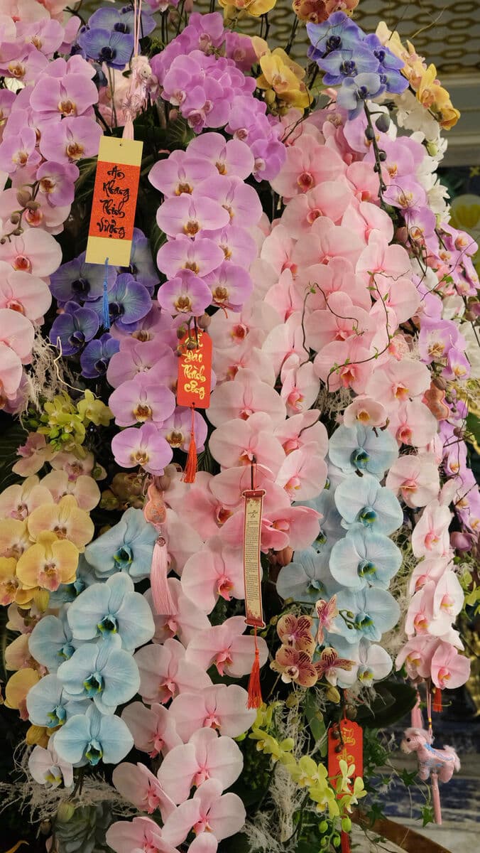 Rainbow cascading orchids
